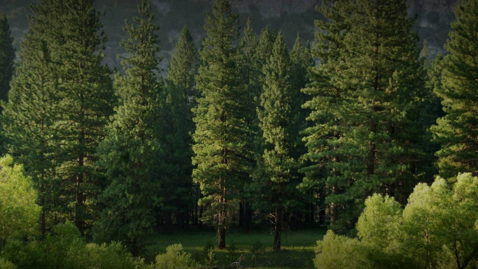 Защита экологии